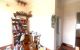 thum-8846256_AO3SQLEsVa_1662221427.jpg