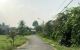 thum-8847280_ujhTHyBMqv_1662273329.jpg