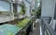 thum-8849768_V9Q2YyTxfe_1662372074.jpg