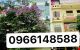 thum-m_UBzXPvTpgb_1662349414.jpg