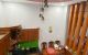 thum-8851625_lgw0VL6IZv_1662445992.jpg