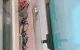 thum-8851884_ePAJXtwMST_1662452849.jpg