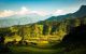thum-8851937_oLDm3Tntbv_1662453716.jpg