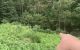 thum-8853792_bSz4oO51Ls_1662536579.jpg