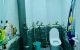 thum-8853832_TBMkVANnL2_1662537361.jpg