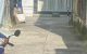 thum-m_YD8kcZM4WB_1662523322.jpg