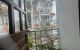 thum-m_o9DRxBCYHT_1662533329.jpg