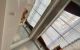 thum-8855323_2xRC76Ikmo_1662608364.jpeg
