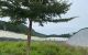 thum-8855911_KcqrNzA27O_1662626100.jpg