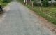 thum-m_GCuAteKj0L_1662602051.jpg