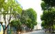thum-m_S1G7WUZqld_1662719608.jpg