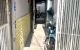 thum-8859856_tHmRegdV3a_1662801422.jpg