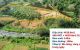 thum-m_EZfaminLGp_1662997319.jpg