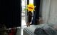 thum-8864862_v3b1LSfHAO_1663036899.jpg
