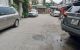 thum-8865223_NmvTYAc6kL_1663044527.jpg