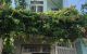 thum-m_o0CEw4WNO3_1663077522.jpg