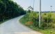 thum-8866973_WBJiFpVevN_1663117972.jpg