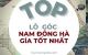 thum-m_xP5aThpFDb_1663140434.jpg