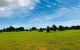 thum-8869749_8AVG1np4yR_1663216520.jpg