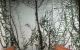 thum-8870527_OqwJYp5KDt_1663248654.jpg