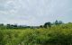 thum-8870611_SCez7d0PuK_1663255457.jpg