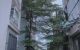 thum-8879546_2g19cfDJ0t_1663657296.jpg
