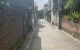 thum-8879812_xwgMGHzy4S_1663661779.jpg