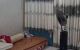 thum-8880001_ApMvftwF8m_1663666145.jpg
