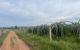 thum-8881360_Syw9WA03Yo_1663732588.jpg