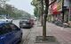 thum-8883914_x4YObcPtCI_1663825566.jpeg