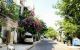 thum-8886609_6dviSpDHaN_1663926090.jpg