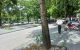 thum-8886662_xbO5osMPRI_1663929550.jpg