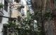 thum-m_25sy3NUYGH_1663904063.jpg