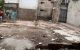 thum-m_SRLUMrYIWd_1663907414.jpg