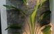 thum-8888270_UlL0bWSMpB_1664013290.jpg