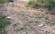 thum-m_Ss0y97hCAE_1663987032.jpg