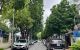 thum-8889347_6vmkez9BXF_1664115388.jpg