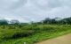 thum-8889402_Y8Uy1WJzLc_1664118596.jpg