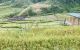 thum-8892828_7iBP1MJXYp_1664250008.jpeg