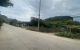 thum-8893150_ZO5QJrD0cW_1664262883.jpg