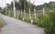 thum-m_8tXQEIpwmn_1664242154.jpg