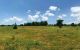 thum-8895380_7SNPB5GAav_1664352249.jpg