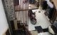 thum-m_eXoW8NxhUk_1664368983.jpg