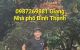 thum-m_l7sR5etcLT_1664336689.jpg