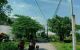 thum-m_zPAXiTGh1W_1664329512.jpg