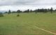 thum-8897205_NQ6lm7RbYs_1664425290.jpg