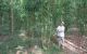 thum-8897255_CgG3X8RaDU_1664426089.jpg