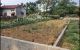 thum-8901657_GqTsO4hDRU_1664609388.jpg