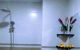thum-8906331_sDTOKaPpS4_1664804720.jpg