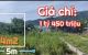thum-8907784_AZahGvSpHq_1664854385.jpg